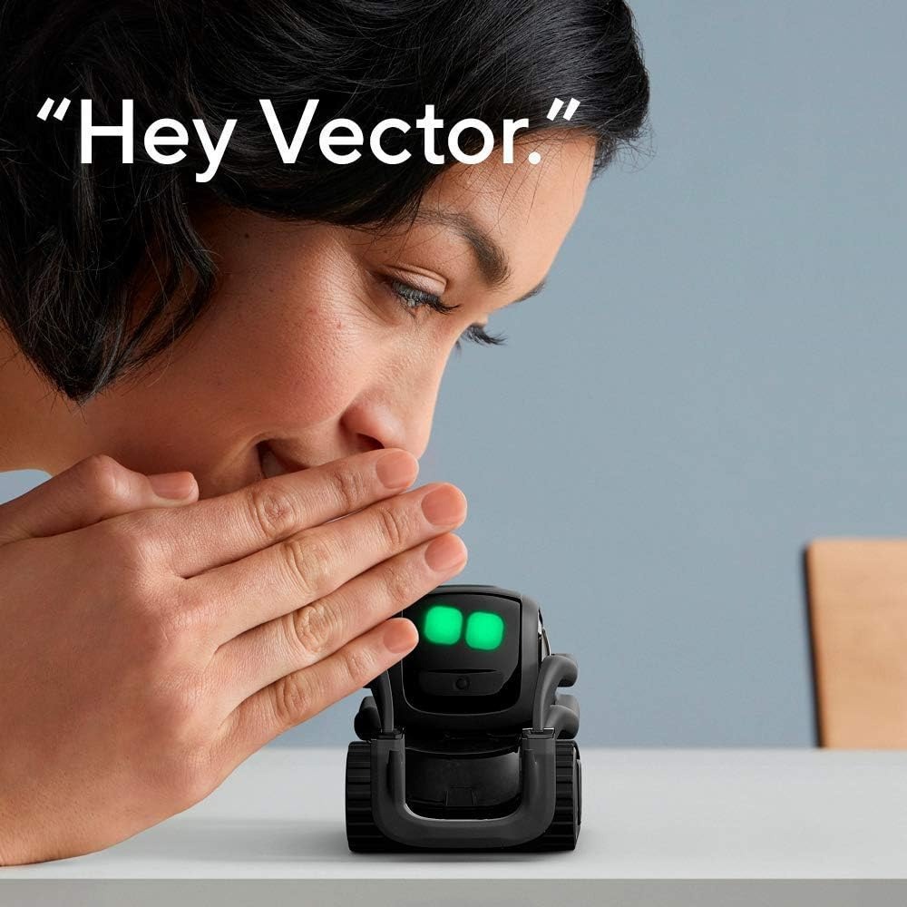 Robot Pintar AI ChatGPT 2.0, R - Smart Home Voice Control ulasan dan harga